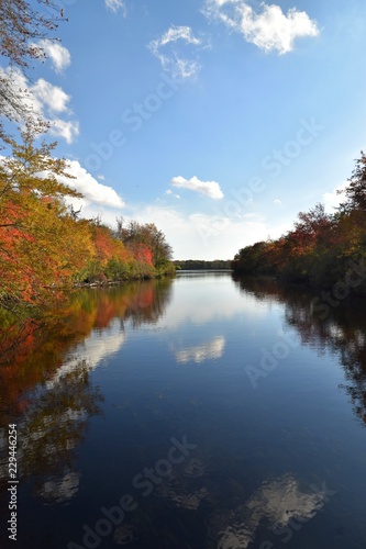 reflection of trees on lake in autumn © MRoseboom