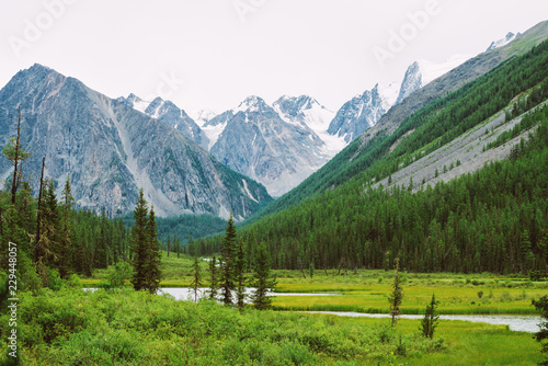 Mountain creek of serpentine shape in valley against snowy mountains. Water stream in brook against glacier. Rich vegetation and forest of highlands. Amazing atmospheric landscape of majestic nature.