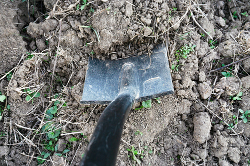 Digging, black shovel on the ground, agriculture