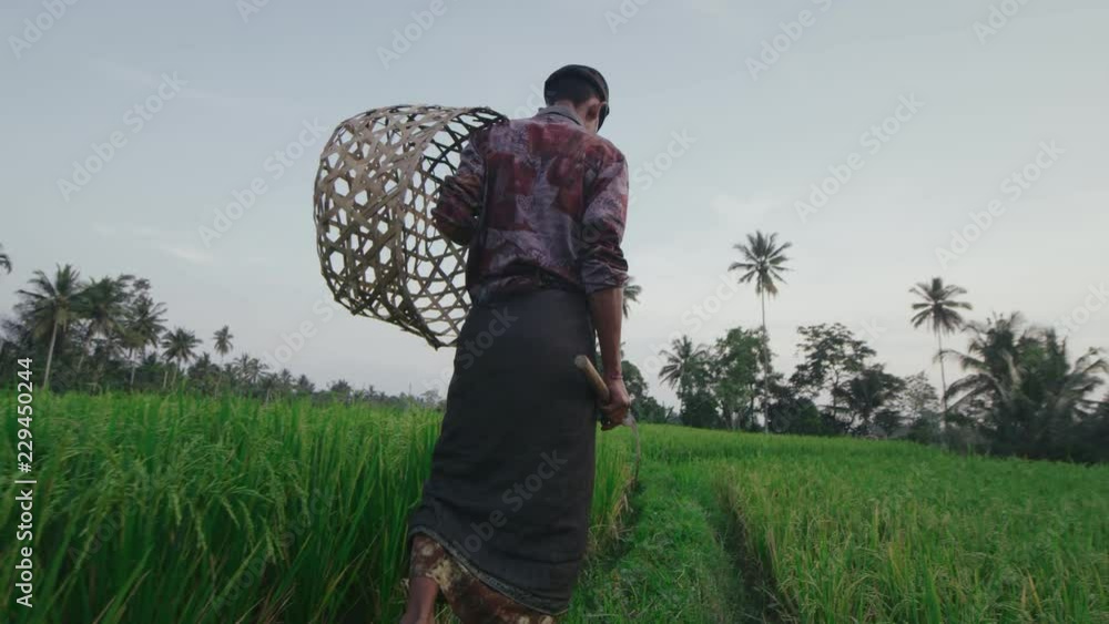 Back view of farmer with basket and sickle Back view of farmer with basket and sickle
