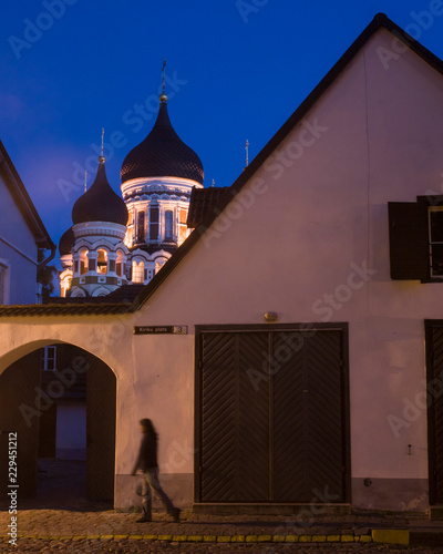 Onion Domes of Alexander Nevski Cathedral photo