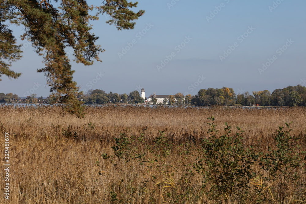 Obraz premium Fraueninsel at Lake Chiemsee behind reed grass