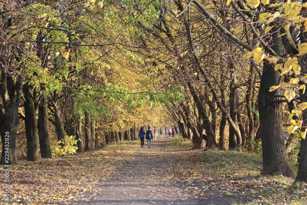 paths in autumn Park
