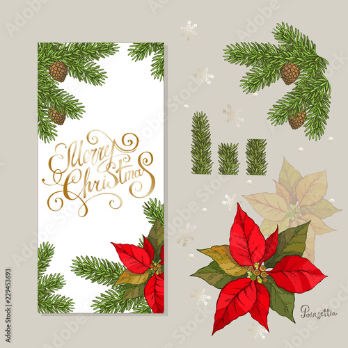 New year, christmas greeting card and invitation elements. Fir brunches cones, decorative stars, bows and Poinsettia flowers. vector illustration