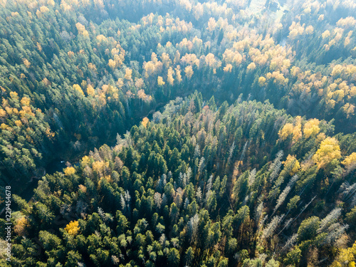 drone image. aerial view of wavy river in autumn colored forest