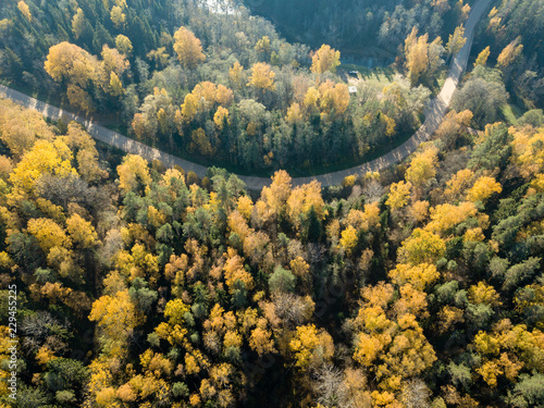 drone image. aerial view of rural area with gravel road in autumn colored fields and forests