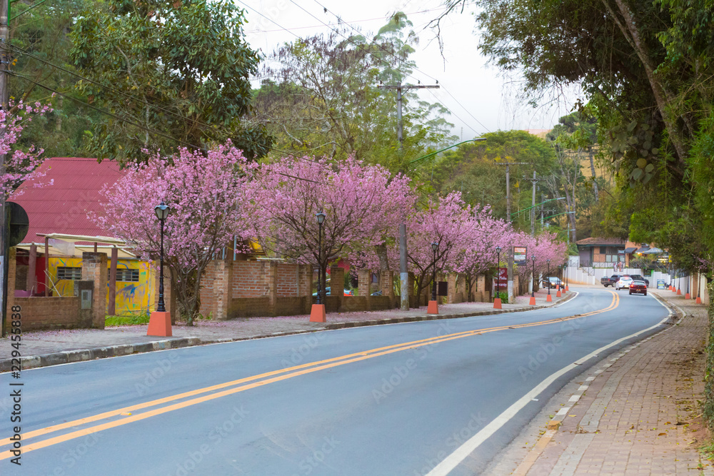 Calçada em Santo Antônio do Pinhal | Sidewalk in Santo Antônio do Pinhal
