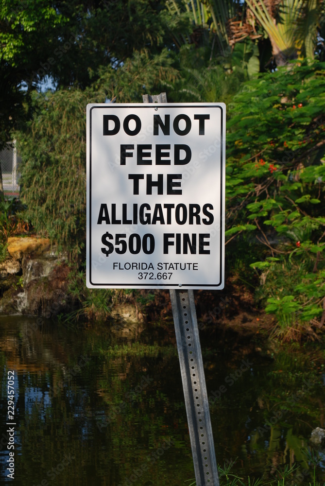 Do Not Feed the Alligators