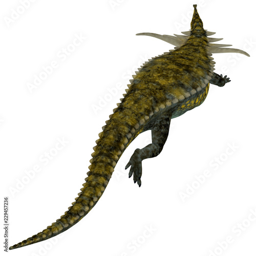 Desmatosuchus Dinosaur Tail photo