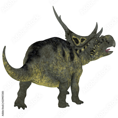 Diabloceratops Dinosaur Tail © Catmando