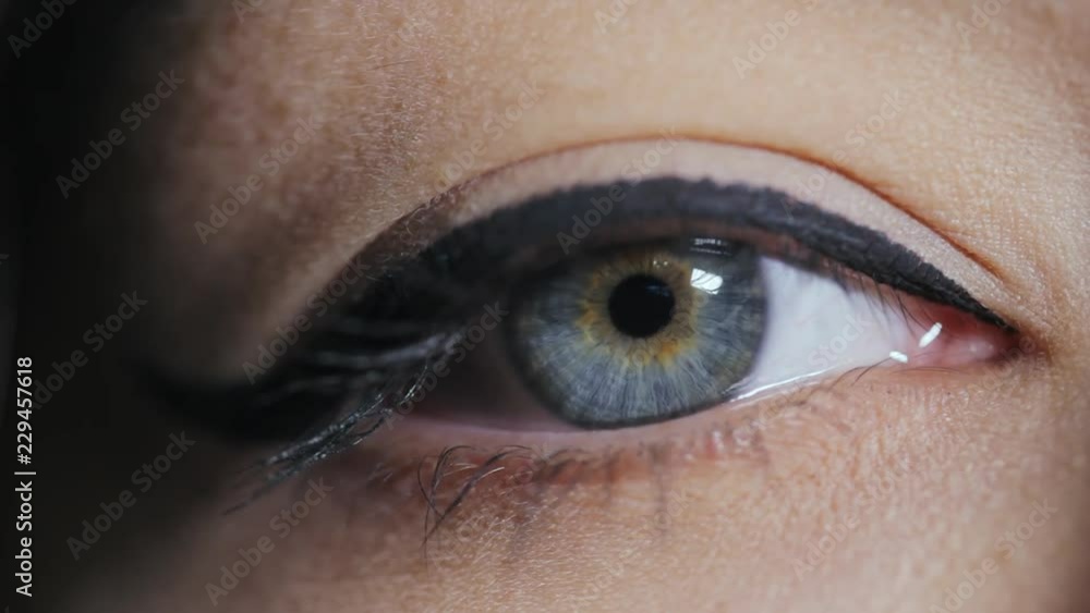 Eye iris contracting, pupil dilation, from dark to light Eye iris contracting, pupil dilation, from dark to light