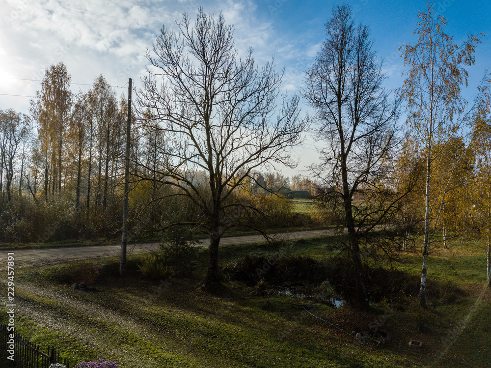 drone image. aerial view of rural area with fields and forests covered in mist drone image. aerial view of rural area with fields and forests covered in mist