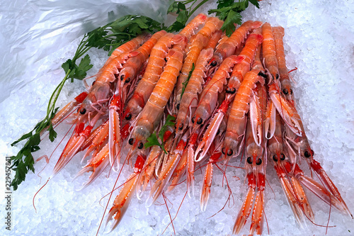 Scampi auf einem Fischmarkt in Genua