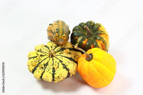Close up view of group of colorful decorative pumpkins isolated on white background. Halloween holiday background / concept.