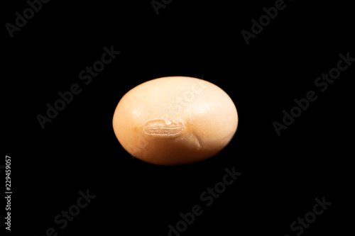 soybean seed with yellow hila_00005