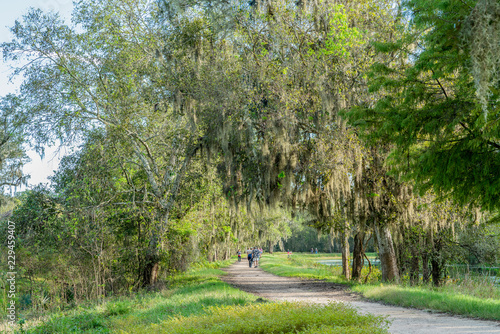 Park vistors stroll around a lake in the park. photo