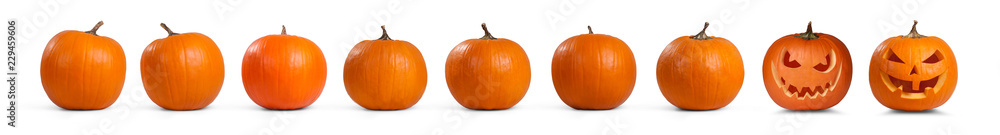 Obraz premium Halloween Motiv
