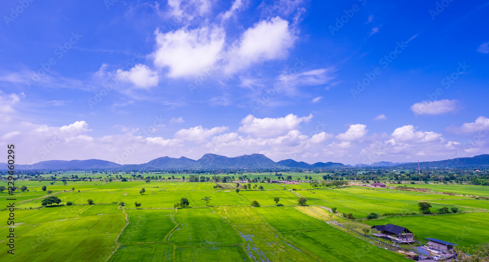 Green field and blue sky with mountain background