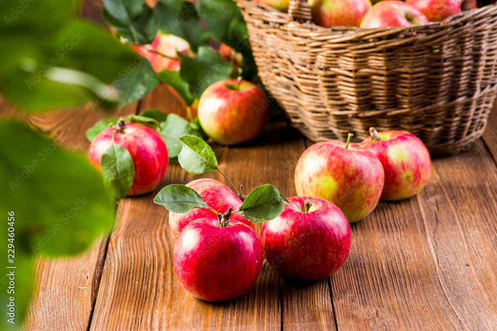 ripe apples on a wooden table in the garden ripe apples on a wooden table in the garden