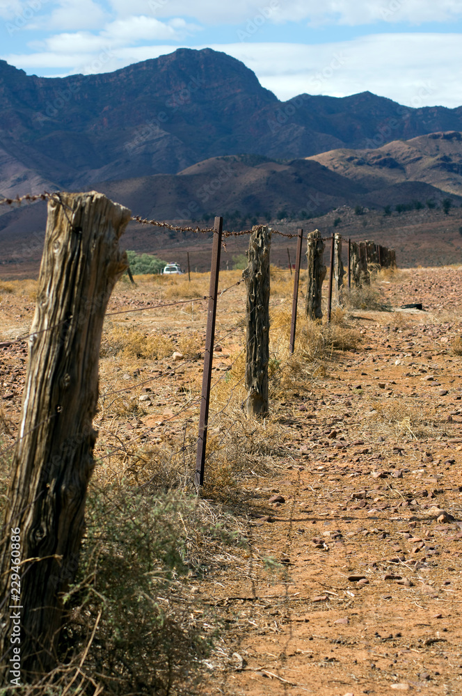 Fence line along Moralana Scenic Drive, Flinders' Ranges, SA, Australia