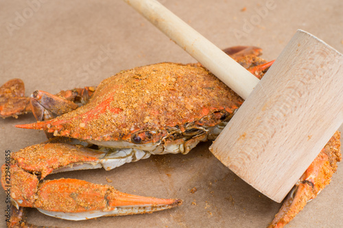 Obraz na plátne BLUE CRAB WITH CRAB HAMMER CRACKER / MALLET IN MARYLAND