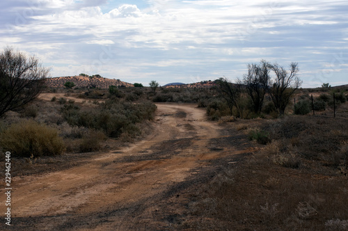 Track near Hookina ruins, The Outback Highway just north of Hawker, Flinders Ranges, SA, Australia