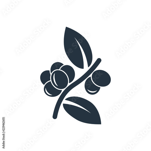 Coffee plant isolated icon on white background, 400 coffee set, logo and sign