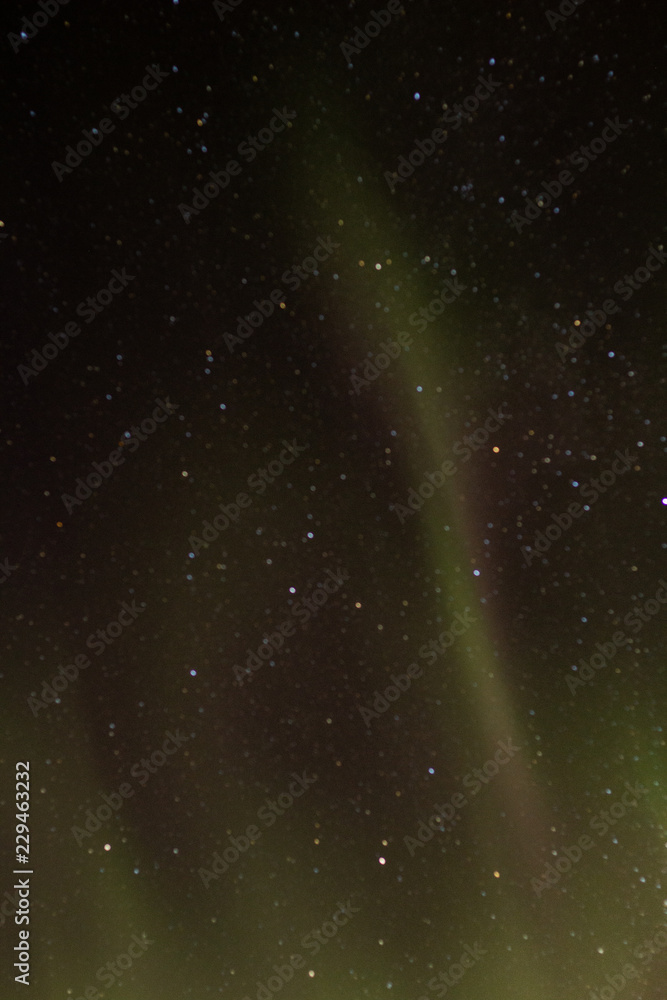 Aurora Borealis, Northern Lights, shines in night sky over Soldotna, Alaksa