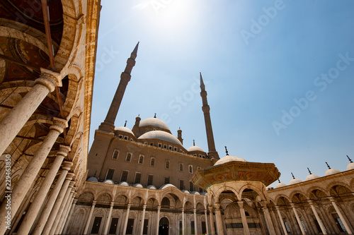 Mosque of Muhammad Ali (ID: 229463850)