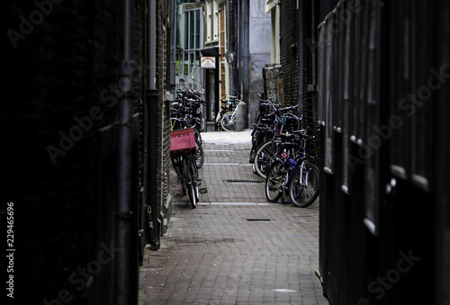 Amsterdam alley