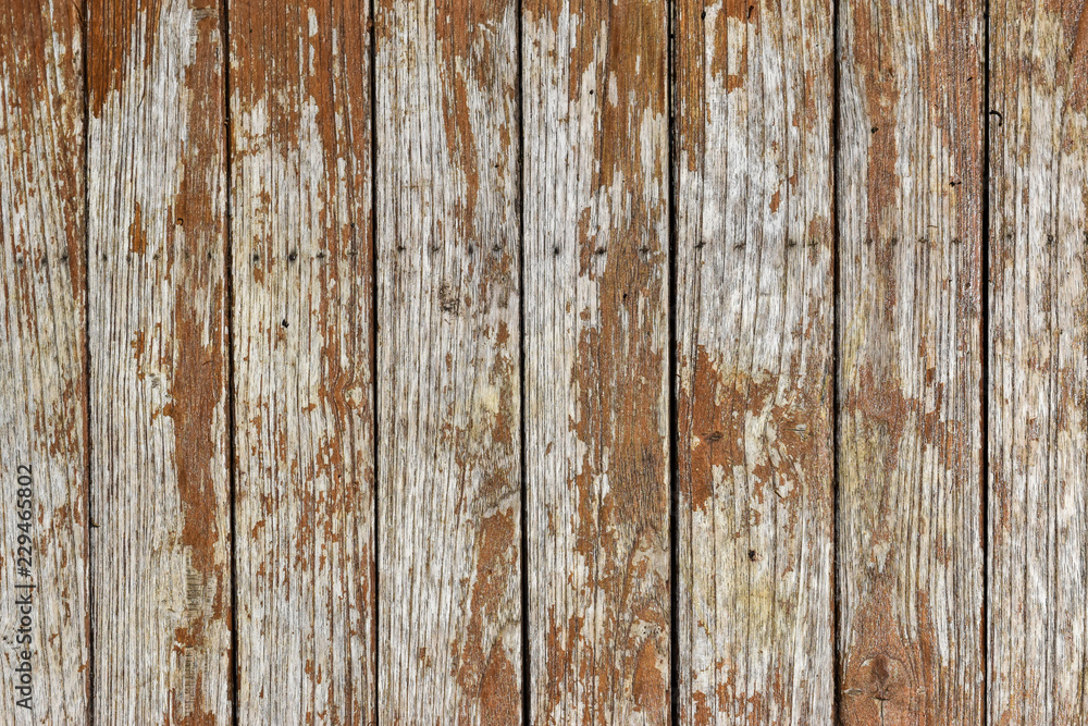 Fototapeta premium wooden plank texture. abstract grunge wood texture background
