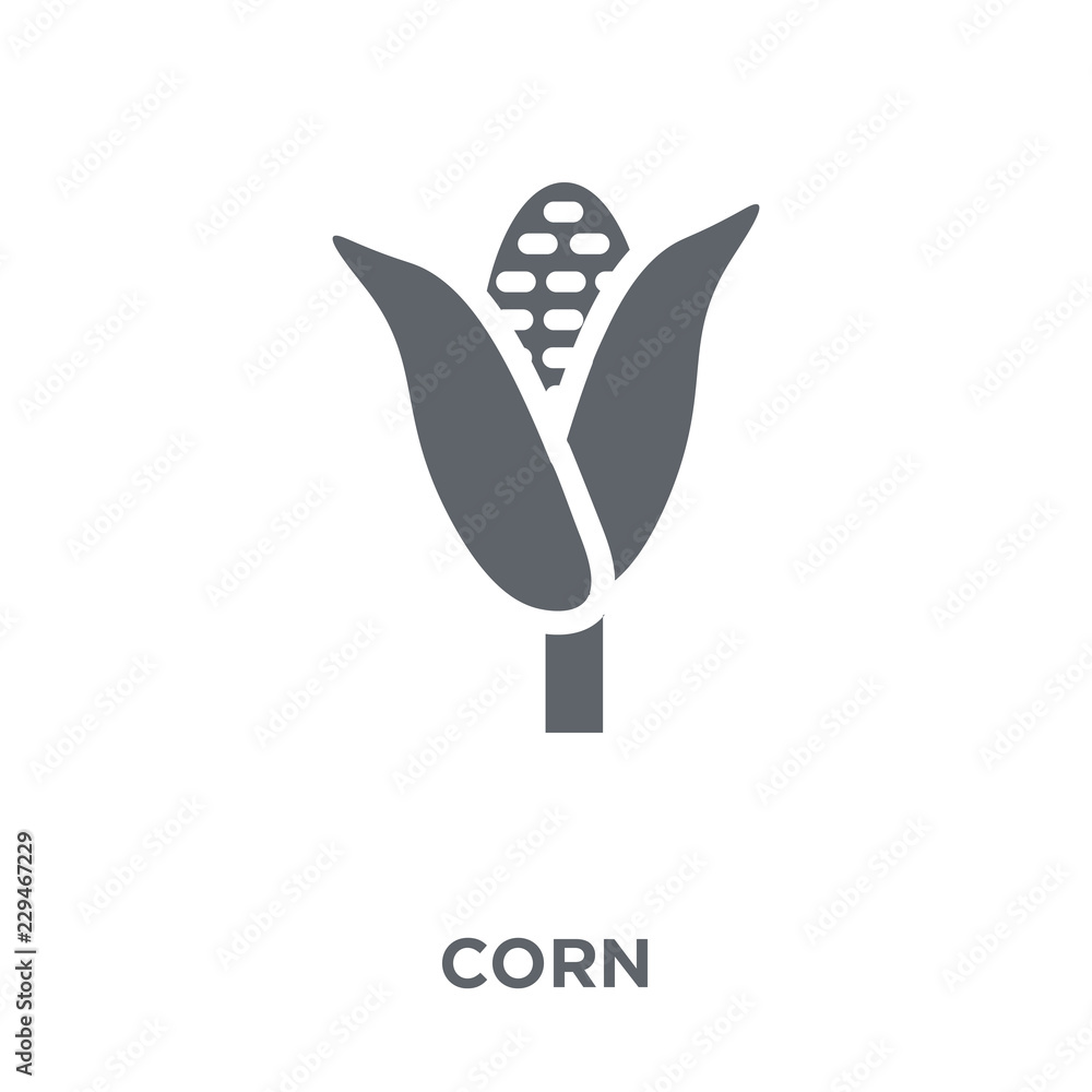 Corn icon from Agriculture, Farming and Gardening collection. Corn icon from Agriculture, Farming and Gardening collection.