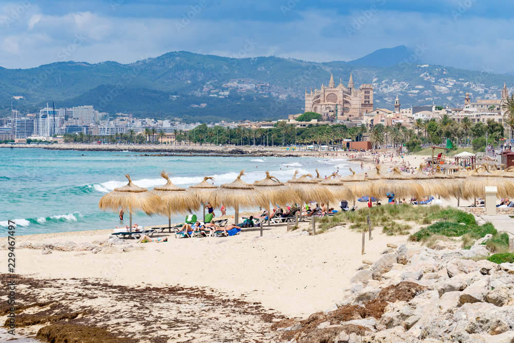 Majorca cathedral