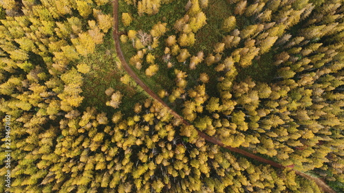 Autumn leaves path seen from the sky A