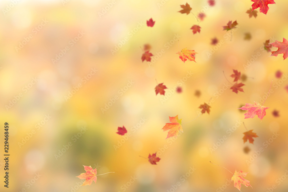 FALLING AUTUMN LEAVES WITH BLUR BACKGROUND OF AUTUMN TONE WOOD. COPY SPACE