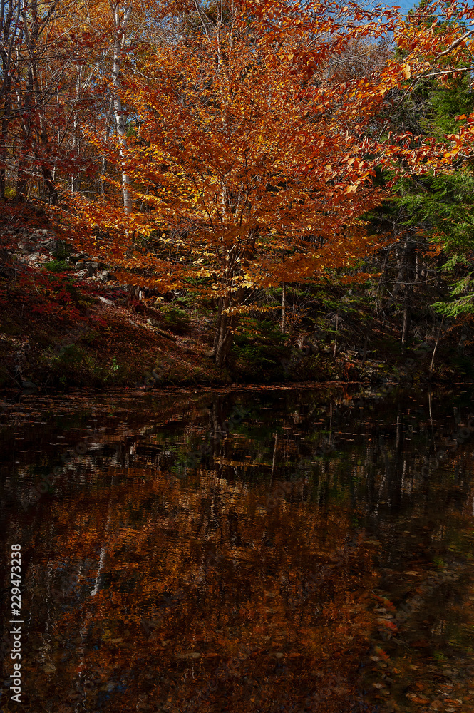 Landscapes in Autumn Season Landscapes in Autumn Season