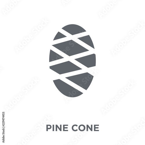 Pine cone icon from Christmas collection.