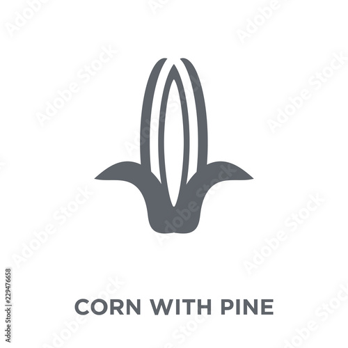 Fototapeta Naklejka Na Ścianę i Meble -  Corn with Pine icon from Chinese Food collection.