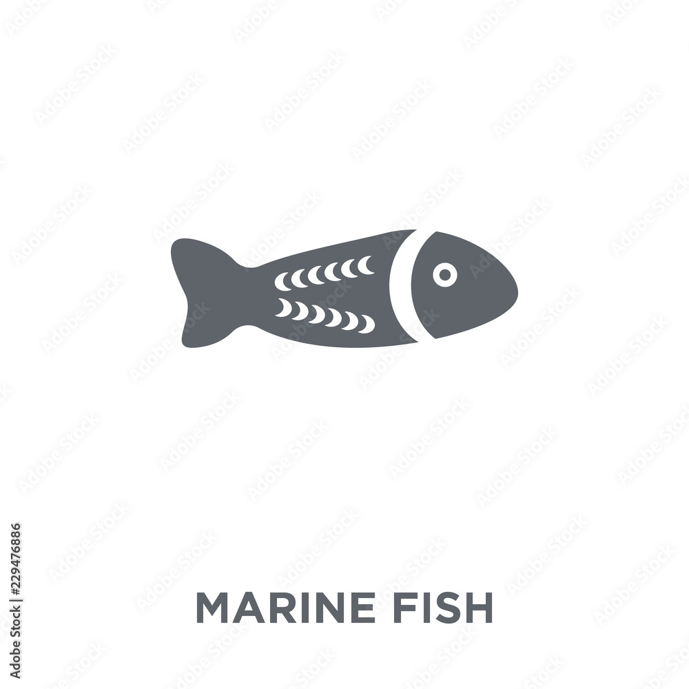 Marine Fish icon from Australia collection. Marine Fish icon from Australia collection.