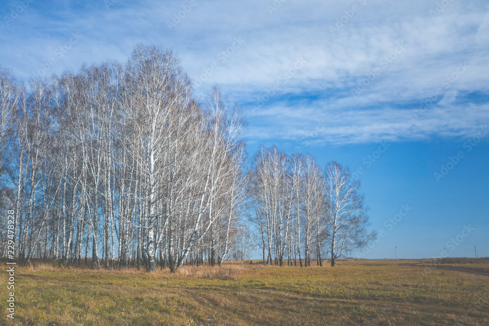 Autumn field with old dry grass and dirty roads Autumn field with old dry grass and dirty roads