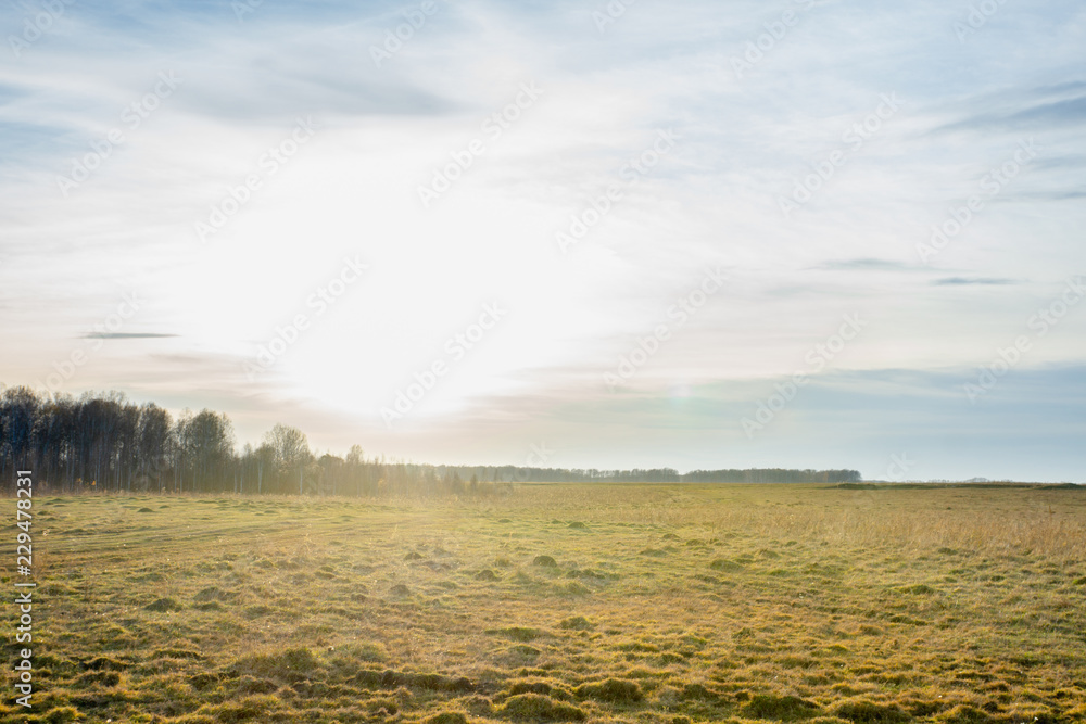 Autumn field with old dry grass and dirty roads Autumn field with old dry grass and dirty roads