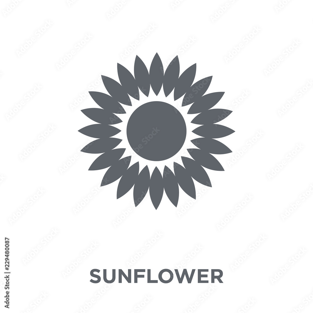 Sunflower icon from Ecology collection. Sunflower icon from Ecology collection.