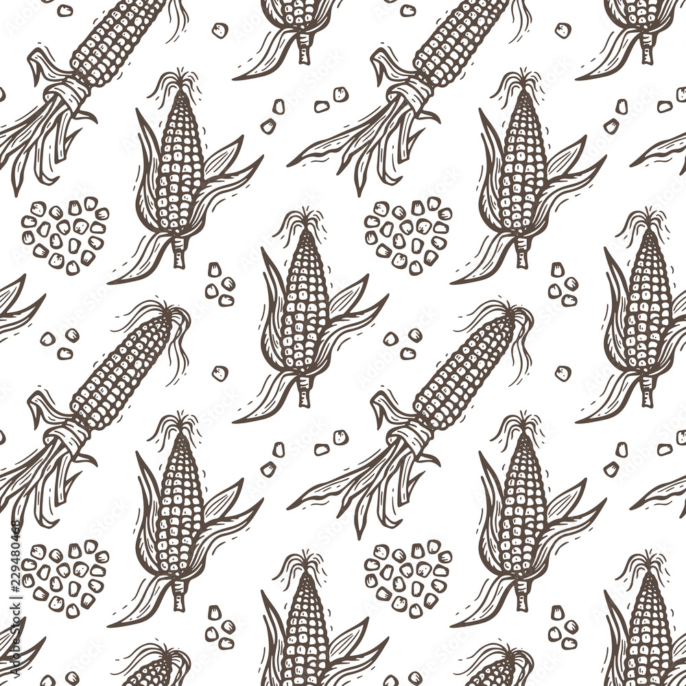 Seamless Pattern with Flint Corn (Indian corn or calico corn). Hand ...