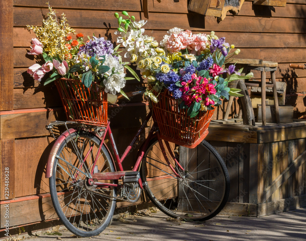 flower bike 1