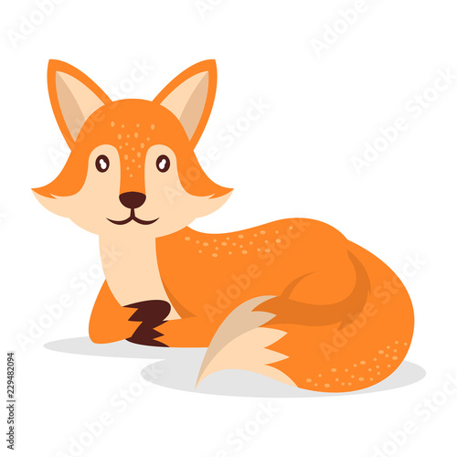 Cute fox isolated on white background