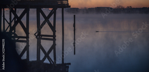 early morning bird