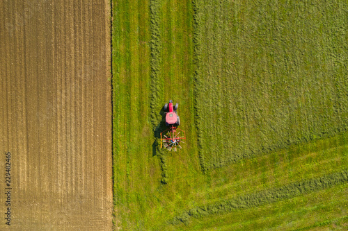 Fototapeta Red tractor windrowing hay, top down aerial view
