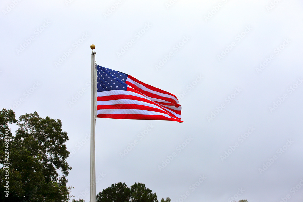 American Flag waving on pole