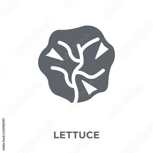 Lettuce icon from Fruit and vegetables collection.