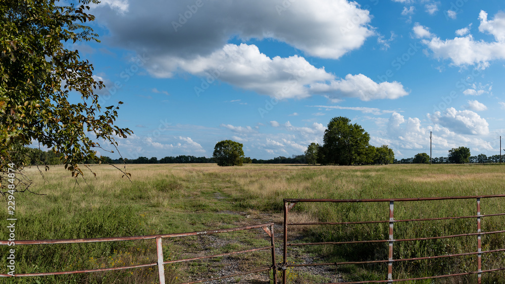 Country pasture banner